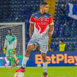 RONALDO PÁJARO